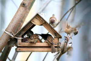 Futterhaus für Vögel